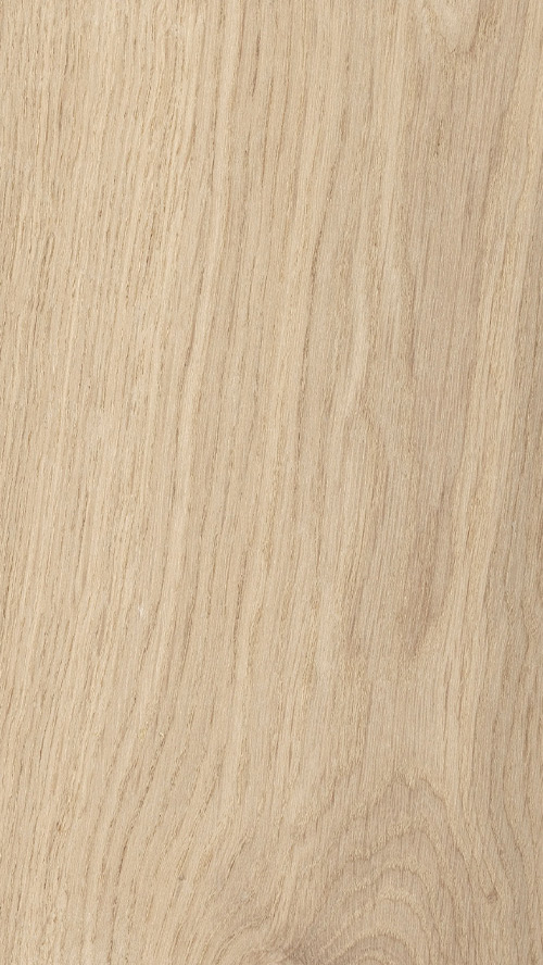 UNTREATED LOOK CLOSEUP